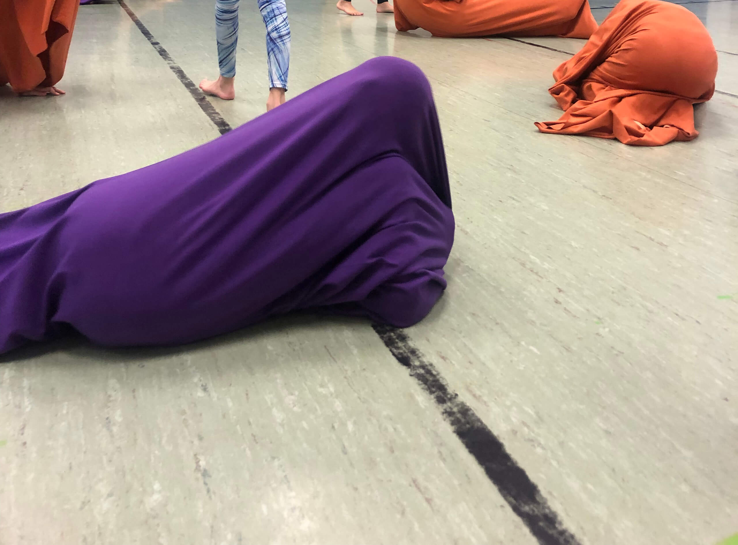 bewegte_Anatomie_das_zentrale_Nervensystem_5